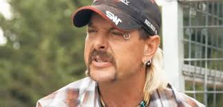 How did that get started? K8t On Twitter Choose Your Fighter Cuomo S Nipple Piercing Or Joe Exotic S Eyebrow Ring