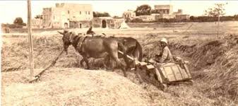 Pin On صور قديمة من الموصل ج2