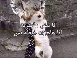Pin By Roma On 8afashat Funny Reaction Pictures Funny Picture Jokes Funny Dude