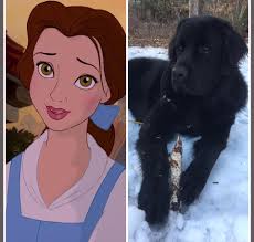 Guessing dog names from pictures is hard