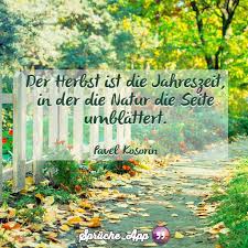 Hol Dir Spruche Und Zitate Auf Bildern Kostenlos Auf Dein Handy Spruche Zitate Herbst Zitate Zitate