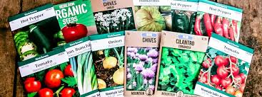 Check spelling or type a new query. How To Plant A Salsa Garden Ever After In The Woods