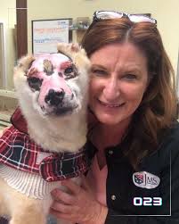 Taka, a 9-year-old Shiba Inu who miraculously survived a devastating house  fire, now brings hope and healing to burn victims as a therapy dog. After  enduring severe injuries and a long road