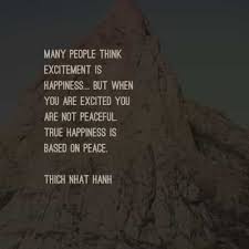 Naval ravikant click to tweet. Quotes About Seeking Inner Peace Aden