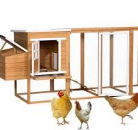 Guía de selección de jaulas de madera para gallinas al aire ...