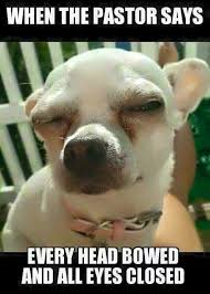 Pin By Jordan Zuniga On Wisdom Funny Christian Memes Funny Church Memes Christian Jokes