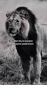 Kimseye Minnet Etmem: Racon Sözler ve Kişisel Gelişim