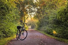Walgreens locations & hours >. Explore The Paul Bunyan Trail Minnesota Resorts Directory