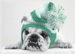 card 39 snow day english bulldog christmas greeting