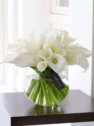 Sono ideali per dare struttura ad un bouquet di fiori o ad un centrotavola. Fiori Bianchi