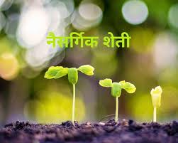 कर्जमुक्तीसोबतच नैसर्गिक शेतीकडे वळा; शेतकऱ्यांना प्रशासनाचे आवाहन, अहिल्यानगरमध्ये नऊ हजार हेक्टरवर नैसर्गिक शेती