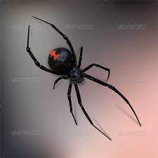 There isn't a discernible pattern at first glance. Black Widow Spider By 3d Ronin Graphicriver
