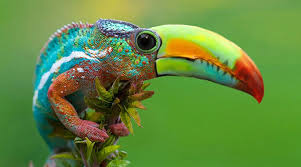 49 Strange Animal Hybrids Bred In Photoshop Photoshopped Animals Bizarre Animals Weird Animals