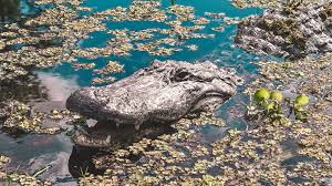 🔥 Torinha Estranha : rNatureIsFuckingLit