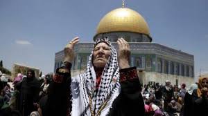 Riza sebelumnya juga menyatakan keyakinan bahwa jokowi menyayangi partainya. Palestina Digempur Habis Habisan Israel Kirim 5 000 Pasukan Ke Gaza Jokowi Bereaksi Keras Tribun Jambi