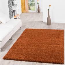 Viele attraktive farben zaubern ein traumhaftes ambiente in ihren wohnraum. Hochflor Shaggy Teppich Preishammer Uni Einfarbig Terrakotta Modern 140x200 Cm Ebay