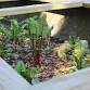 Garden to Table: Sweet Summer Solstice