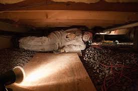 Choose from contactless same day delivery, drive up and more. Pest Control Grants Pass Oregon
