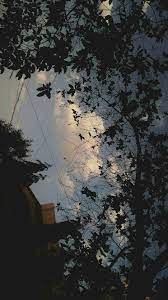 Sebaik Apapun Manusia Dimata Manusia Lainnya Dia Tetaplah Orang Jahat Nature Photography Aesthetic Photography Nature Scenery Wallpaper