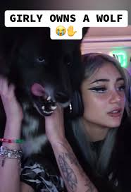 Castle and Her Wolf Dog