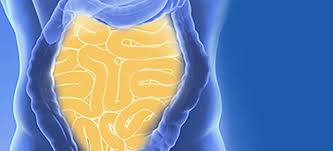 Diesem unwohlsein können sie durch bewegung entgegenwirken. Darmspiegelung Munchen Koloskopie Dr Pfundstein