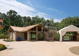 Akron Zoo Pride Of Africa Akron Zoo Zoo Architecture Zoo Map