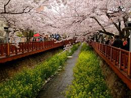 Become a member of fonwall and you will see. Wallpaper Pemandangan Di Jepang Via Blogger Bit Ly 2x4uu8f Flickr