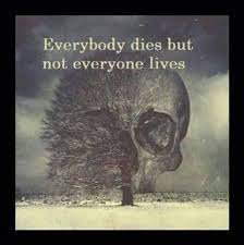 Everyone Dies But Not Everyone Lives Stories Untold
