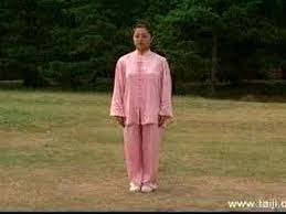 Maybe you would like to learn more about one of these? 24 Form Yang Style Tai Chi Video Dailymotion