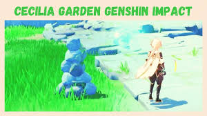 We are preparing a lot of interesting guides and other useful information for. Cecilia Garden Genshin Impact How To Unlock Cecilia Garden