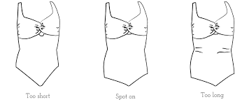 If you need professional help with completing any kind of homework, success essays is the right place to get it. Fitting Grading The Nautilus Swimsuit Paprika Patterns