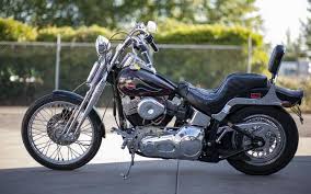 Image result for Silver 1994 FXSTS