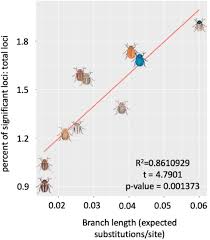 How much does a branch manager make in kentucky? Elevated Rates Of Positive Selection Drive The Evolution Of Pestiferousness In The Colorado Potato Beetle Leptinotarsa Decemlineata Say Biorxiv