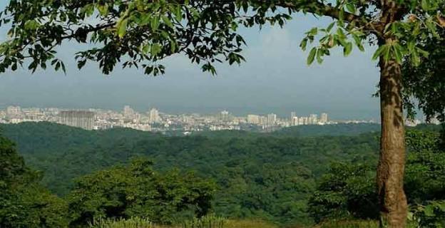Sanjay Gandhi National Park Mumbai - Timing, History, Overview