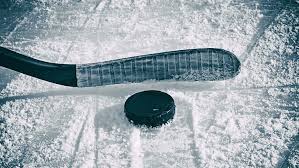 We hope you enjoy our growing collection of hd images to use as a background or home screen for your. Ice Hockey 1080p 2k 4k 5k Hd Wallpapers Free Download Wallpaper Flare