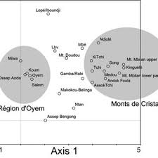 Image result for Ancistrorhynchus ovatus