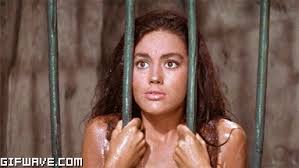 Memes can be made out of pretty much everything. Planet Of The Apes 50 Years Sherdog Forums Ufc Mma Boxing Discussion