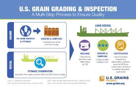 Usgc H Grain Vessel Size U S Grains Council