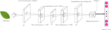 If the window is greater than size 1x1, the output will be necessarily smaller than the input (unless the input is artificially 'padded' with zeros), and hence cnn's often. Pdf A Convolutional Neural Network For Leaves Recognition Using Data Augmentation Semantic Scholar