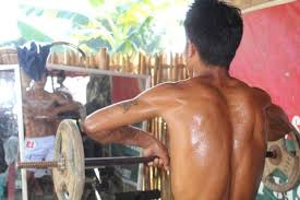 Ask a doctor or pharmacist for advice. Bodybuilders In Myanmar S Kachin State Work To Achieve Greatness