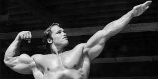 arnold schwarzeneggers blueprint to mass review askmen