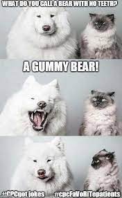 What Do Vou Gaila Bear With No Teeth A Gummy Bear Hoebegoiiokes Enpefavoritepaiients America S Best Pics And Videos
