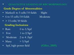 blood film examination its recent investigative methodology