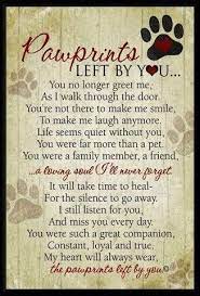 Losing a pet can be one of the hardest things a person has to go through. Coping With Losing A Beloved Pet And Pet Loss Grief