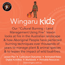 Aboriginal Perspectives Cultural Burning Land Management Using Fire Aboriginal Education Land Management Digital Education