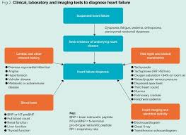 Heart Failure 1 Pathogenesis Presentation And Diagnosis