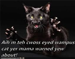 Aih M Teh Cwoss Eyed Wampus Cat Yer Mama Warned Yew About Cats Funny Cats Funny Cat Memes