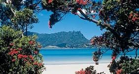 Drive further to whangarei heads and the bream head scenic reserve for outstanding walks and panoramic coastal and harbour views. Kensington Motel Whangarei Accommodation New Zealand