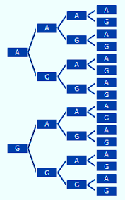 Maybe you would like to learn more about one of these? Contoh Soal Diagram Pohon Dan Pembahasannya Soalfismat Com