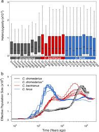 The next code listing shows the basic code needed to use camel to automatically copy files placed in an input directory into a different output. Genomic Signatures Of Domestication In Old World Camels Communications Biology